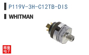 P119V-3H-C12TB-DIS ͼƬ